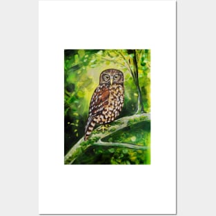 Morepork Owl by Ira Posters and Art